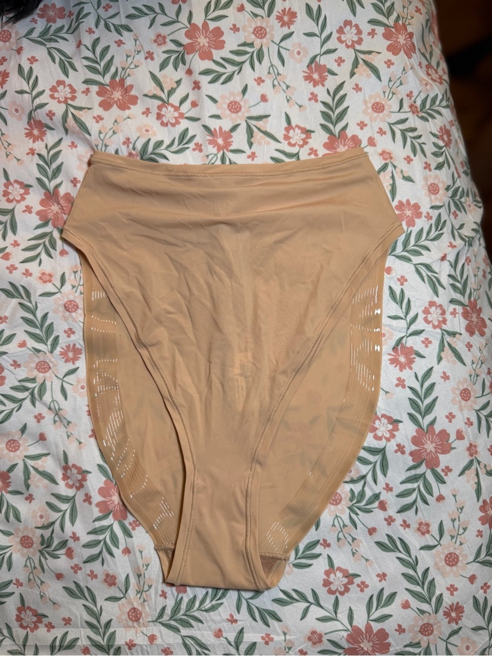 Skims size xxs clay brief panty NWT